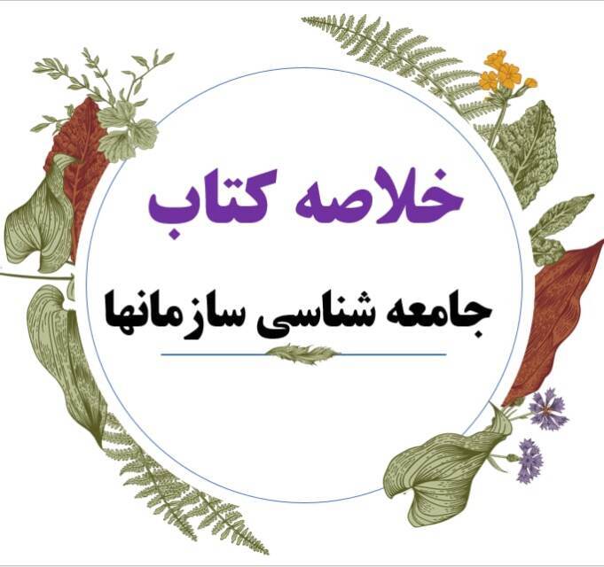  خلاصه کتاب جامعه شناسی سازمانها 